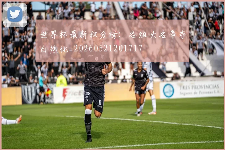 世界杯最新积分榜：各组头名争夺白热化_20260521201717