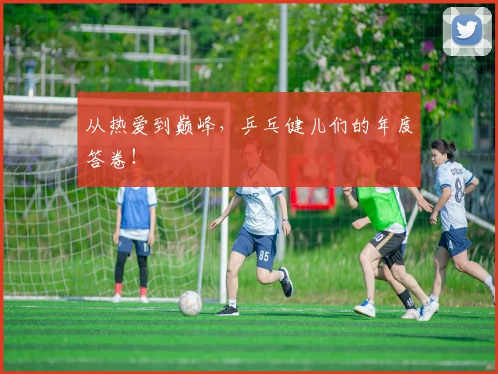 从热爱到巅峰，乒乓健儿们的年度答卷！