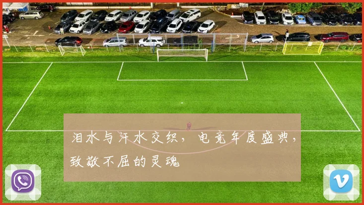 泪水与汗水交织，电竞年度盛典，致敬不屈的灵魂