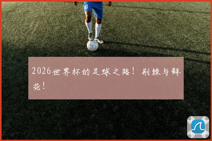 2026世界杯的足球之路！荆棘与鲜花！