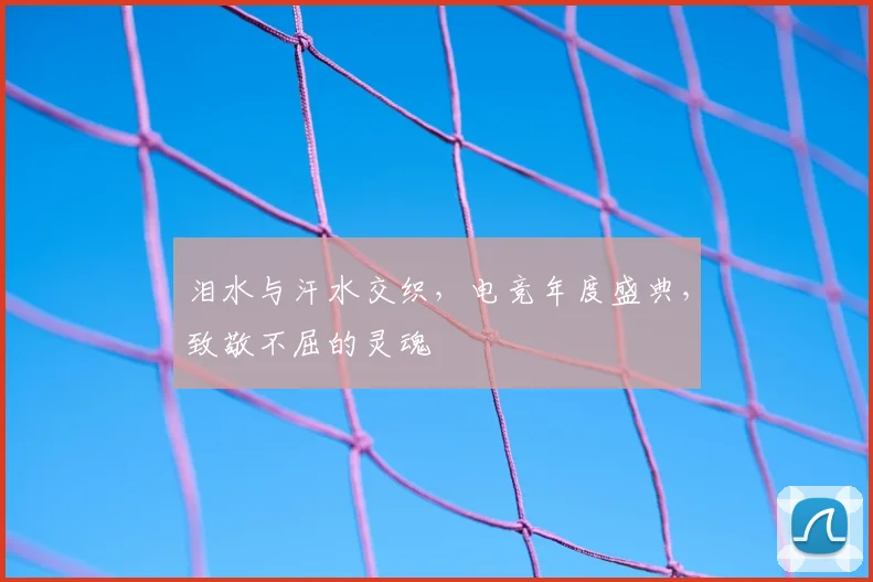 泪水与汗水交织，电竞年度盛典，致敬不屈的灵魂